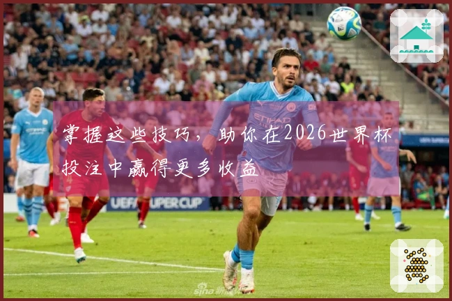 掌握这些技巧，助你在2026世界杯投注中赢得更多收益