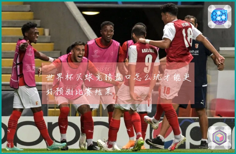 世界杯买球竞猜盘口怎么玩才能更好预测比赛结果