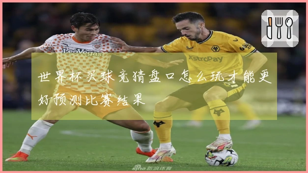 世界杯买球竞猜盘口怎么玩才能更好预测比赛结果