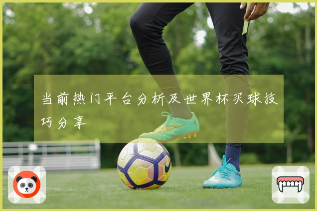 当前热门平台分析及世界杯买球技巧分享